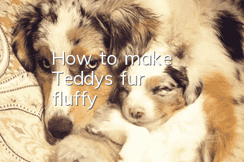 How to make Teddy's fur fluffy