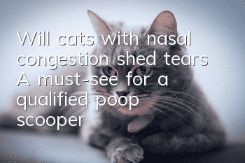 Will cats with nasal congestion shed tears? A must-see for a qualified poop scooper!