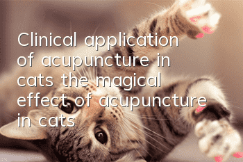 Clinical application of acupuncture in cats, the magical effect of acupuncture in cats!