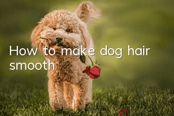 How to make dog hair smooth