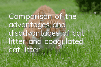 Comparison of the advantages and disadvantages of cat litter and coagulated cat litter