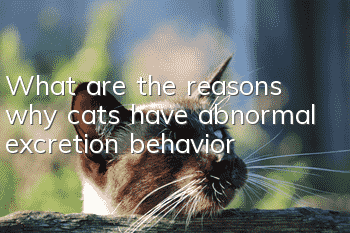 What are the reasons why cats have abnormal excretion behavior?