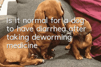 Is it normal for a dog to have diarrhea after taking deworming medicine?