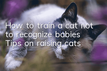 How to train a cat not to recognize babies? Tips on raising cats!