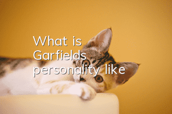 What is Garfield's personality like?