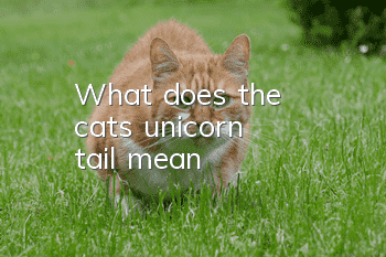 What does the cat's unicorn tail mean?