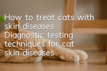 How to treat cats with skin diseases? Diagnostic testing techniques for cat skin diseases!