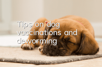 Tips on dog vaccinations and deworming