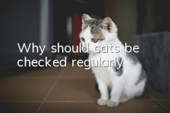 Why should cats be checked regularly?