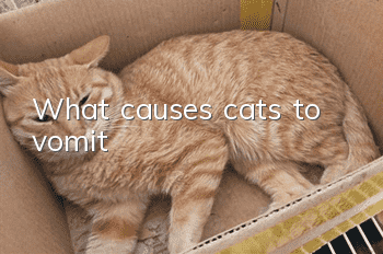 What causes cats to vomit?