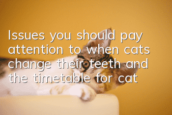 Issues you should pay attention to when cats change their teeth and the timetable for cat teeth change