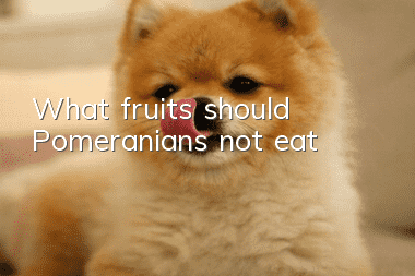 What fruits should Pomeranians not eat?