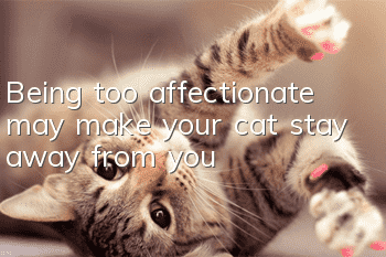 Being too affectionate may make your cat stay away from you