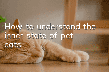 How to understand the inner state of pet cats?