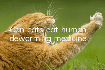 Can cats eat human deworming medicine?