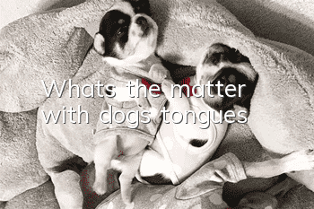 What’s the matter with dogs’ tongues?