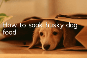 How to soak husky dog ​​food