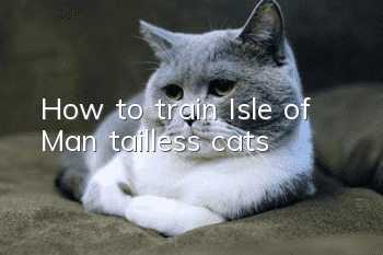 How to train Isle of Man tailless cats