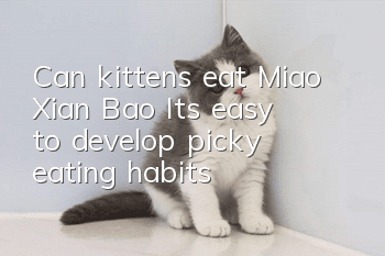 Can kittens eat Miao Xian Bao? It’s easy to develop picky eating habits