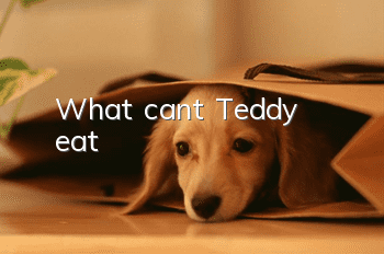 What can't Teddy eat?