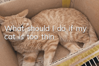 What should I do if my cat is too thin?