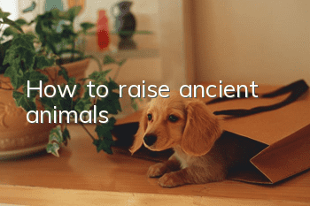 How to raise ancient animals