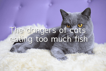 The dangers of cats eating too much fish