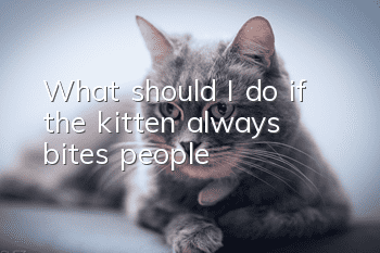 What should I do if the kitten always bites people?