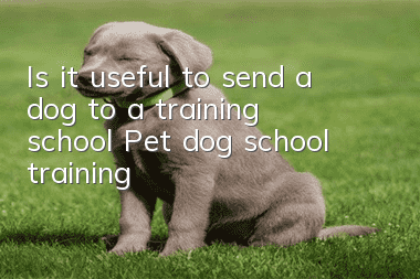 Is it useful to send a dog to a training school? Pet dog school training!