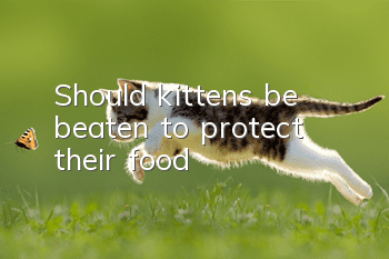 Should kittens be beaten to protect their food?