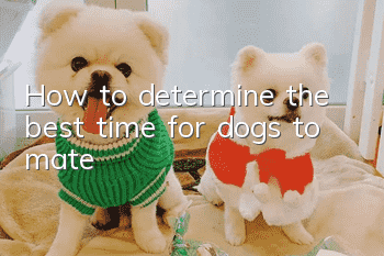 How to determine the best time for dogs to mate