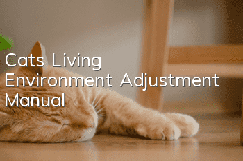 Cat's Living Environment Adjustment Manual