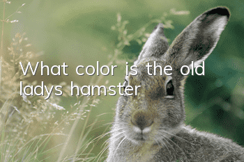 What color is the old lady's hamster?