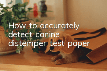 How to accurately detect canine distemper test paper