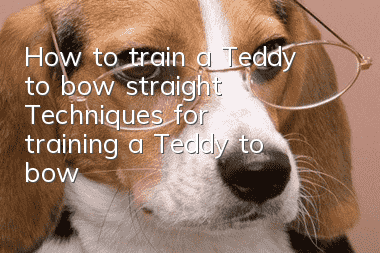 How to train a Teddy to bow straight? Techniques for training a Teddy to bow!