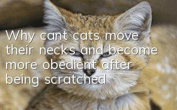 Why can’t cats move their necks and become more obedient after being scratched?