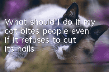 What should I do if my cat bites people even if it refuses to cut its nails?