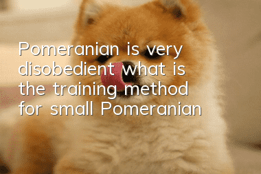 Pomeranian is very disobedient, what is the training method for small Pomeranian?