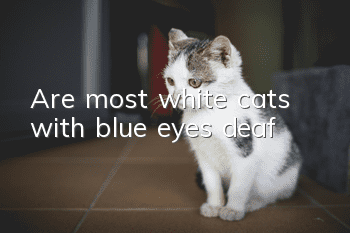 Are most white cats with blue eyes deaf?