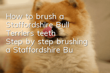 How to brush a Staffordshire Bull Terrier's teeth Step by step brushing a Staffordshire Bull Terrier's teeth