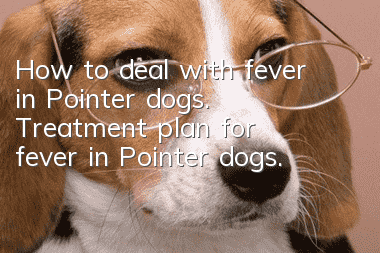 How to deal with fever in Pointer dogs. Treatment plan for fever in Pointer dogs.