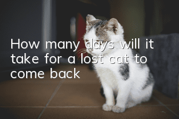 How many days will it take for a lost cat to come back?