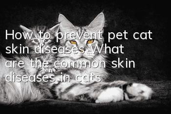 How to prevent pet cat skin diseases? What are the common skin diseases in cats?