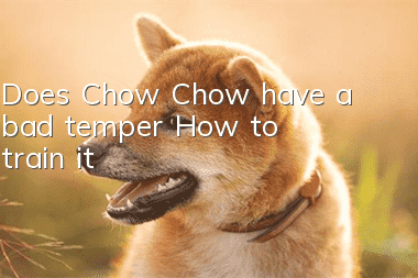 Does Chow Chow have a bad temper? How to train it?