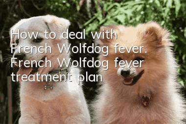 How to deal with French Wolfdog fever. French Wolfdog fever treatment plan