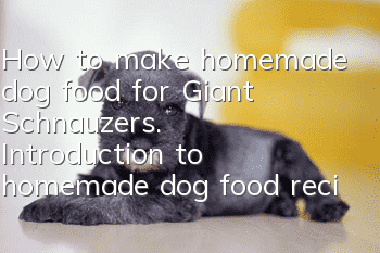 How to make homemade dog food for Giant Schnauzers. Introduction to homemade dog food recipes for Giant Schnauzers.