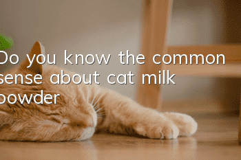 Do you know the common sense about cat milk powder?