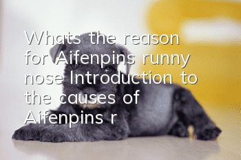 What’s the reason for Aifenpin’s runny nose? Introduction to the causes of Aifenpin’s runny nose