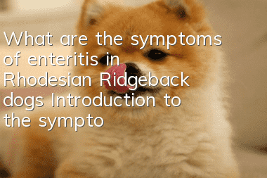 What are the symptoms of enteritis in Rhodesian Ridgeback dogs? Introduction to the symptoms of enteritis in lion hounds