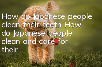 How do Japanese people clean their teeth? How do Japanese people clean and care for their teeth?